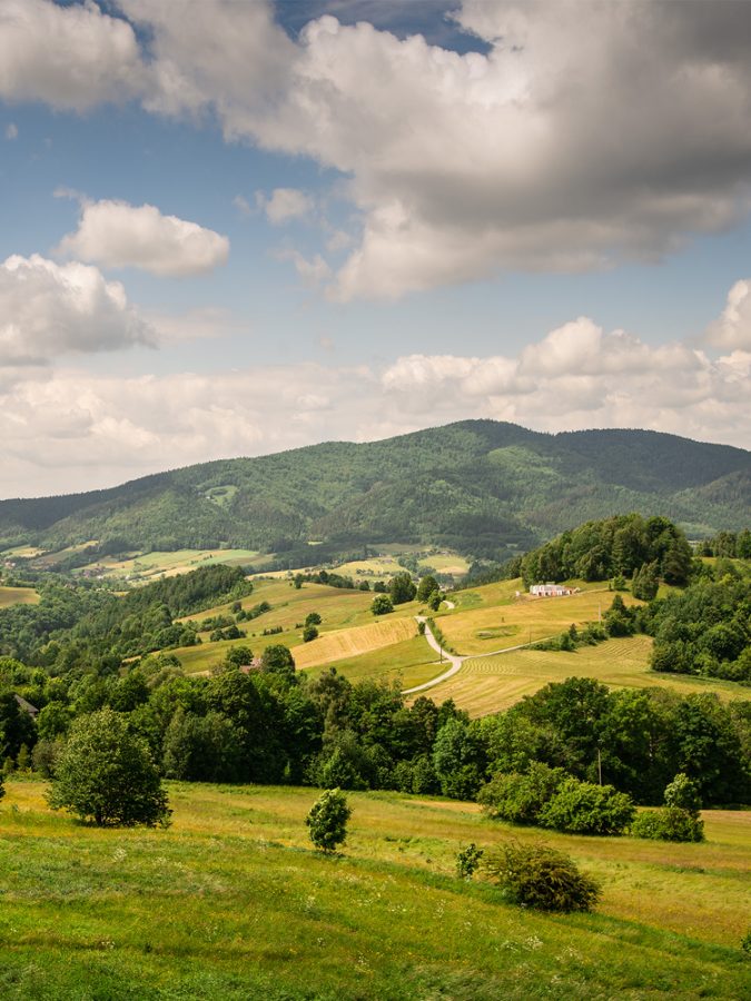 Beskid Wyspowy latem